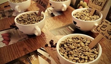 咖啡豆烘焙培训