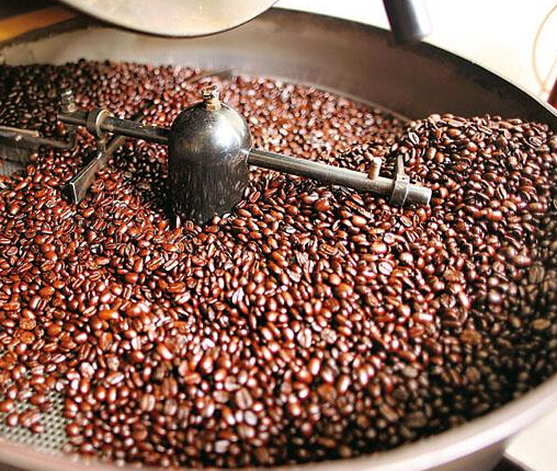 选择咖啡豆, 中山咖啡培训， 咖啡培训, 咖啡烘焙