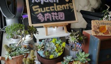 咖啡开店, 咖啡店选址, 咖啡, 咖啡培训