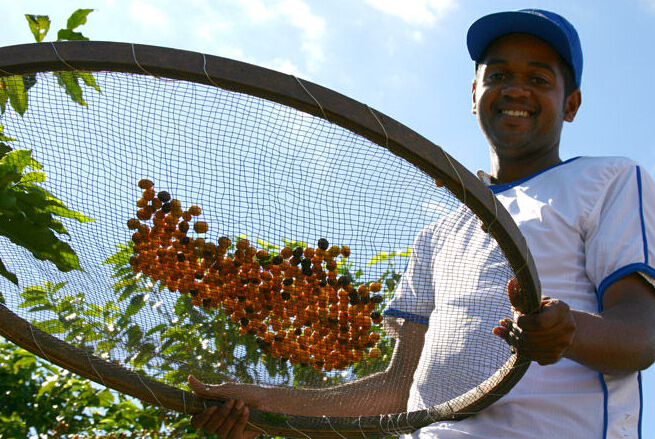 EHS咖啡培训学院, 咖啡产区, 咖啡培训, 广州咖啡培训