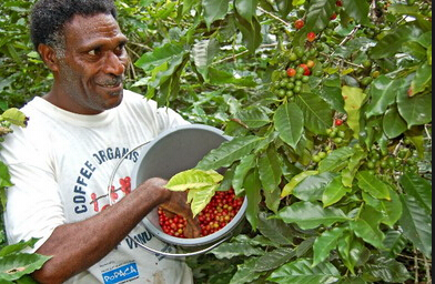 EHS咖啡培训学院, 咖啡产区, 咖啡口感, 肯尼亚咖啡