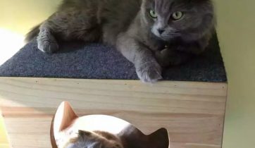 咖啡创业, 咖啡开店, 咖啡店经营管理, 咖啡培训