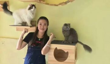 咖啡创业, 咖啡开店, 咖啡店经营管理, 咖啡培训