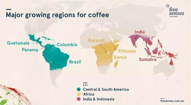 如何选购咖啡豆, 咖啡豆, 咖啡品种, 咖啡品种