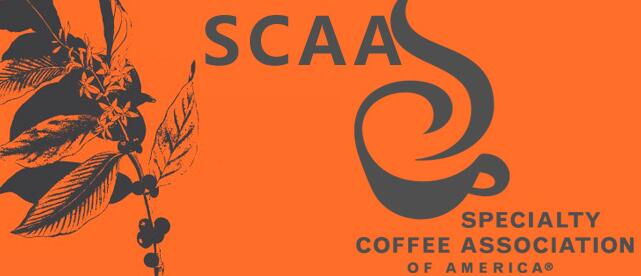 咖啡证, SCAA常胜八金刚, 咖啡品种, 咖啡培训