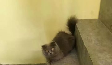 咖啡创业, 咖啡开店, 咖啡店经营管理, 咖啡培训