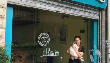 咖啡创业, 咖啡开店, 咖啡店经营管理, 咖啡培训