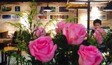 咖啡创业, 咖啡开店, 咖啡店经营管理, 咖啡培训