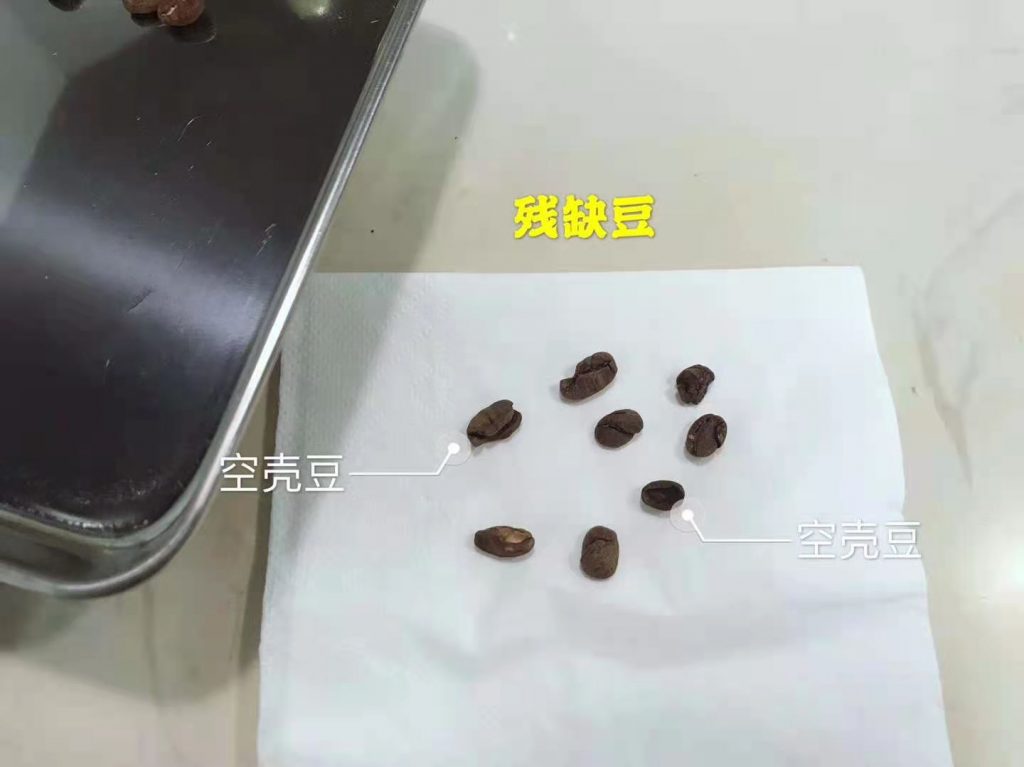 残缺豆