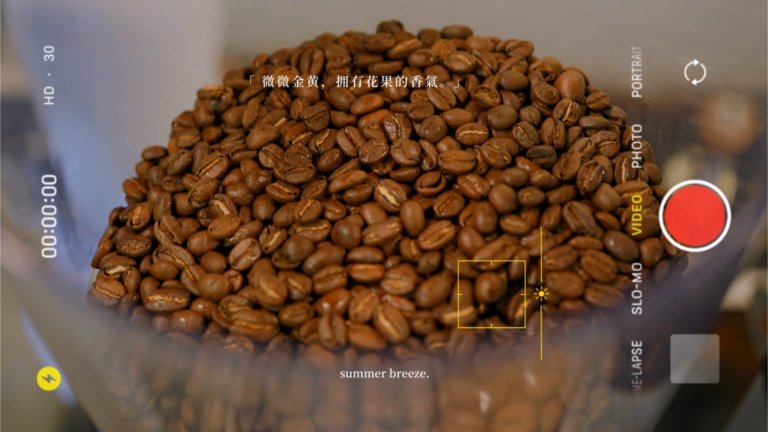 咖啡师培训怎样了解咖啡豆的品类？ Mindfo咖啡培训 